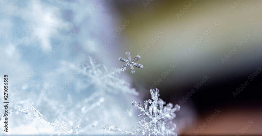 natural snowflakes on snow, winter