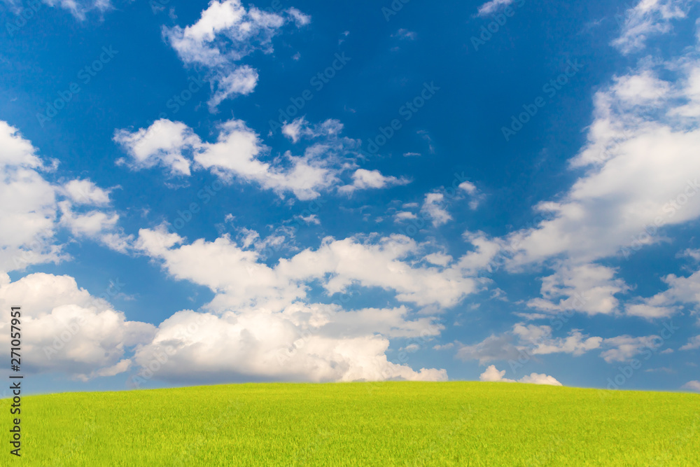 Beautiful blue sky and green field, Natural landscrap background Beautiful blue sky and green field, Natural landscrap background