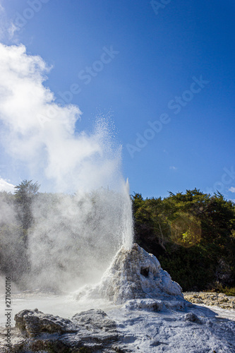 eruption of the Lady Knox Geyser, Wai-O-Tapu Thermal Wonderland, Rotorua, New Zealand