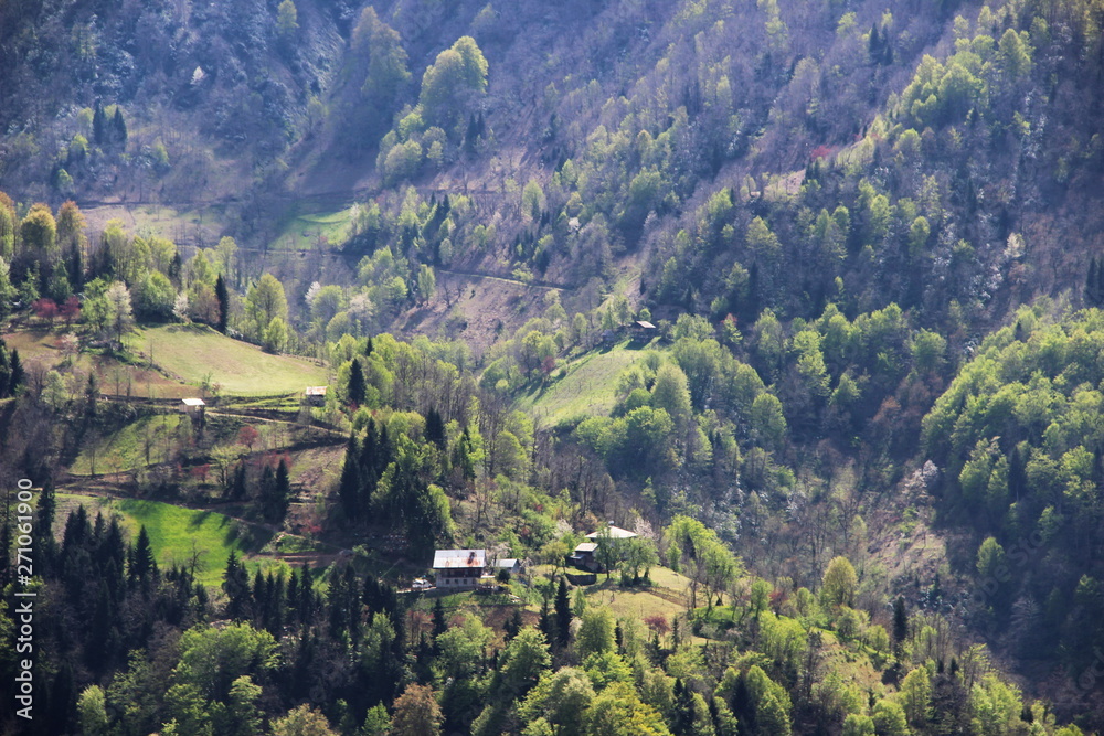 Village in the mountains of Georgia, Adjara, spring