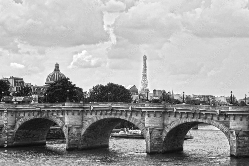 My Paris Portraits - Pont Neuf, the oldest bridge in Paris and