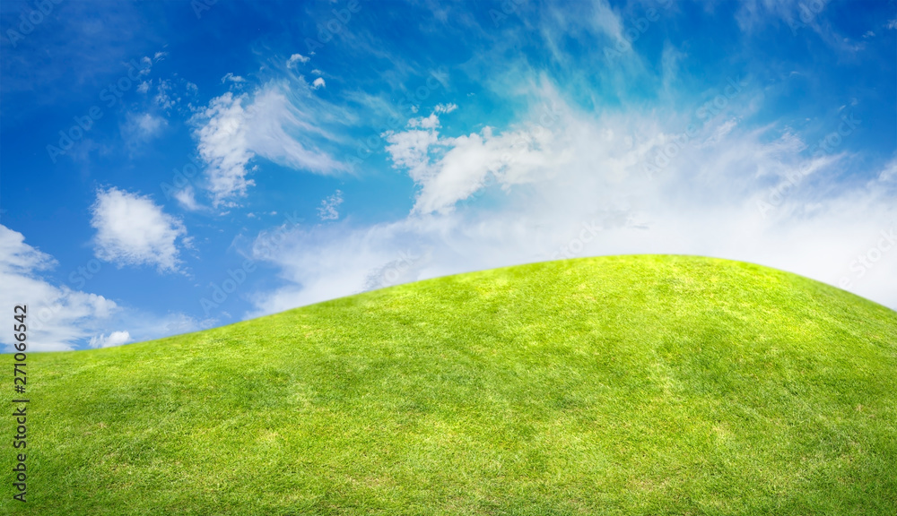 Fototapeta premium Grass hill