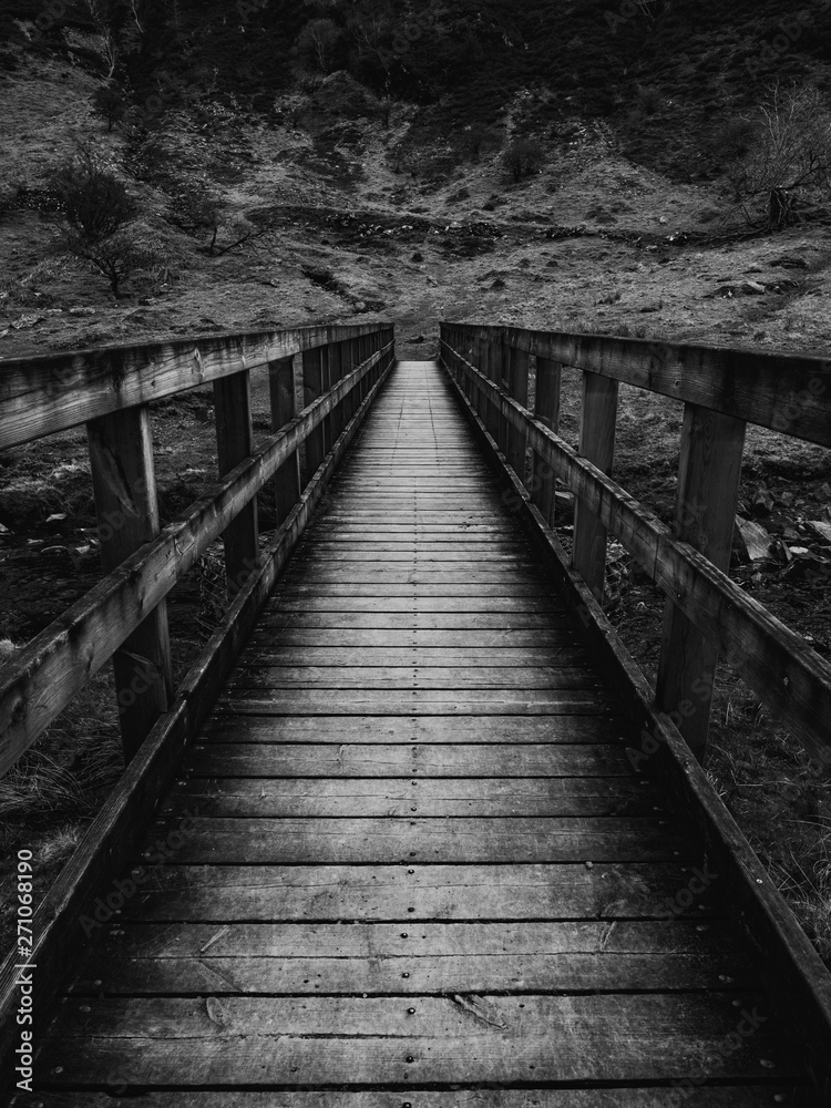 Fototapeta premium Wooden bridge in mountain setting