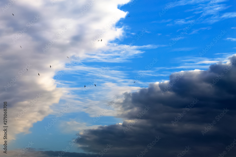 Beautiful white and dark clouds, rain, cumulus clouds against a blue sky. Picturesque, fantastic clouds. Plain landscape background for summer, spring poster.