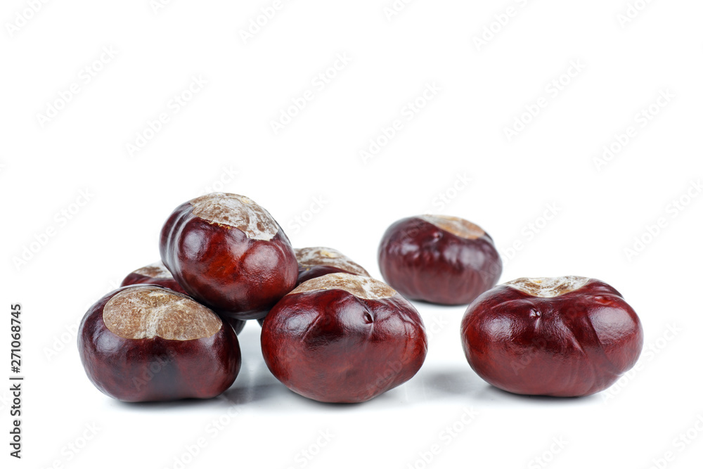 Horse-chestnuts isolated on white background Horse-chestnuts isolated on white background
