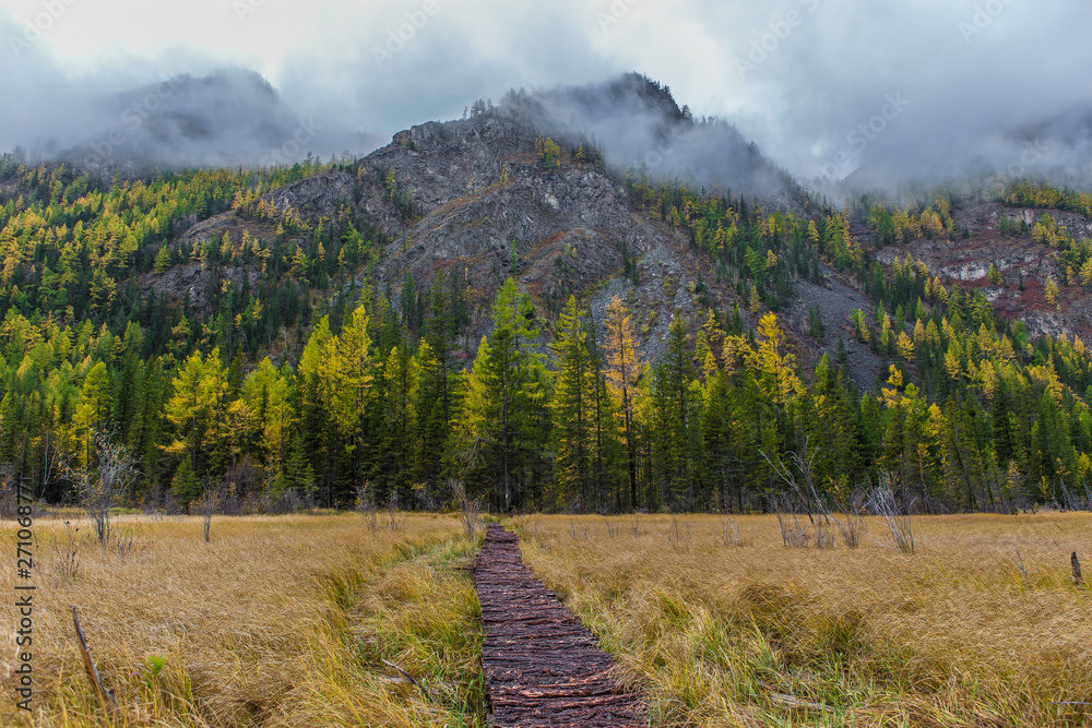 A wooden walkway leads through the grass towards the forest and mountains
