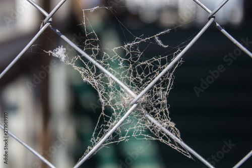 Web on a metal grid close-up