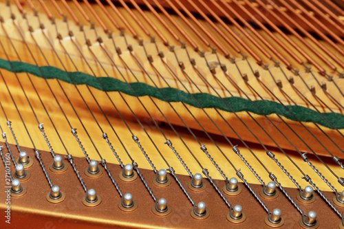 Strings inside the pianoforte mechanism photo