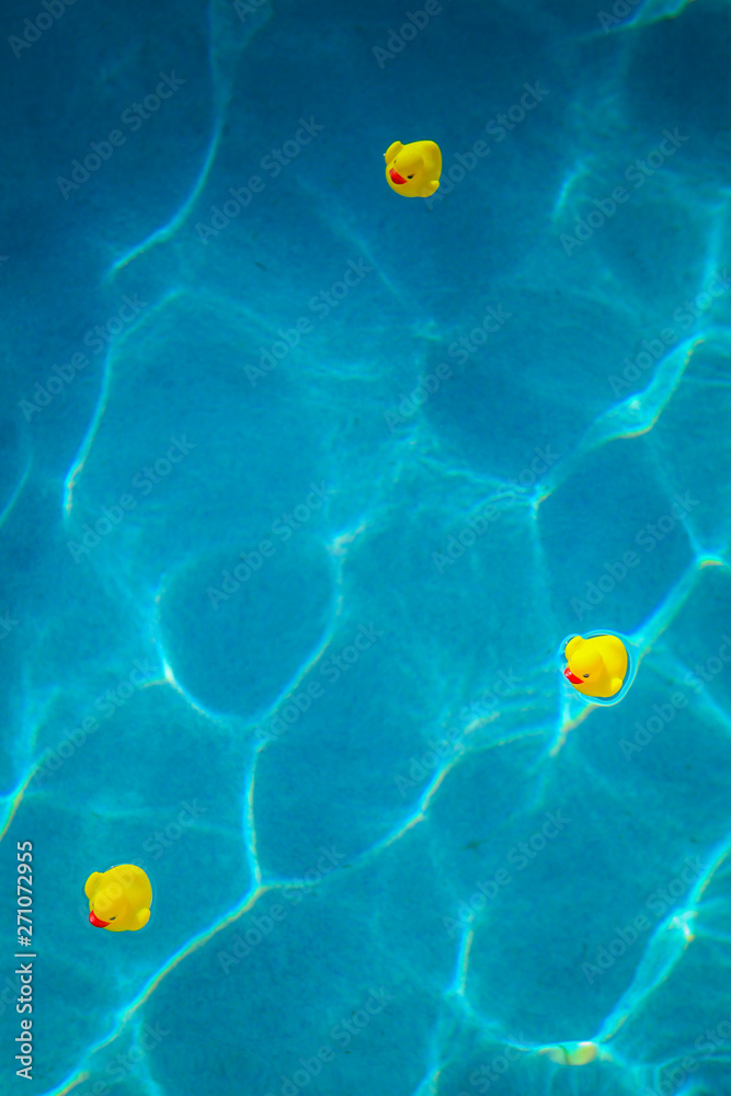 3 plastic ducks in a swimming pool, going in the same direction - Follow the Leader