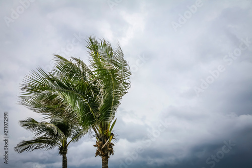 Tropical Storm Brewing