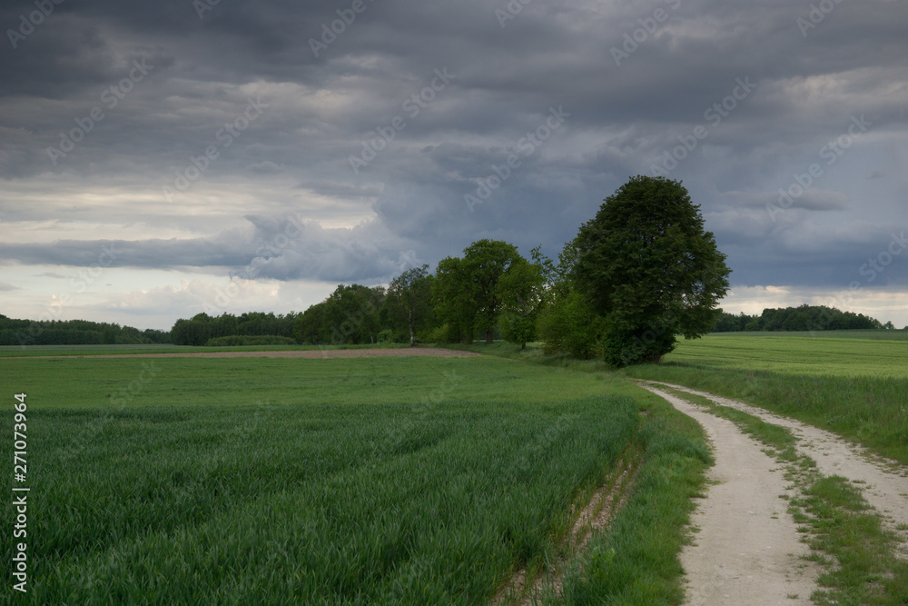 stormy landscape in the evening stormy landscape in the evening