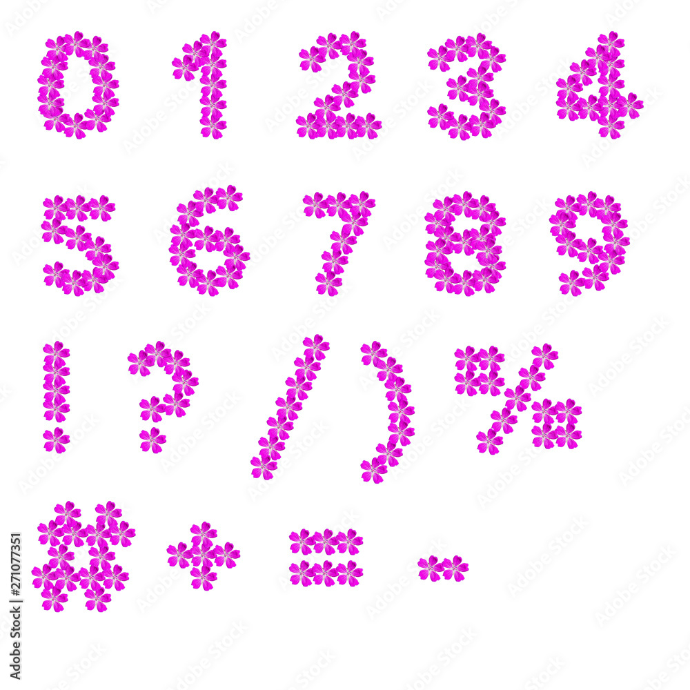 Numbers, figures and signs of pink flowers of geranium bud on a white background, isolate Numbers, figures and signs of pink flowers of geranium bud on a white background, isolate
