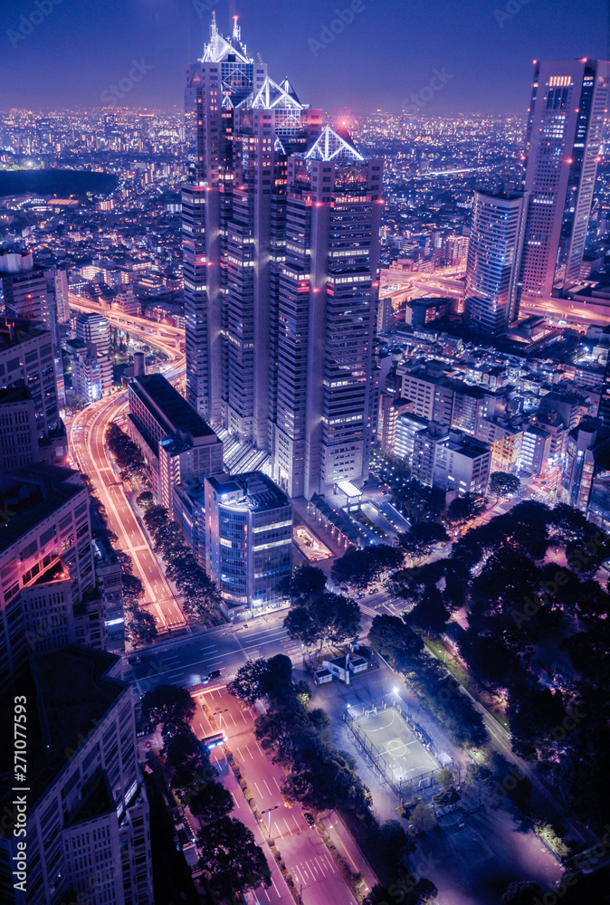 Obraz premium 東京夜景
