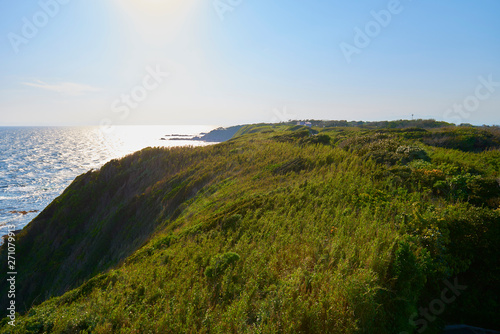 城ヶ島の海岸にて