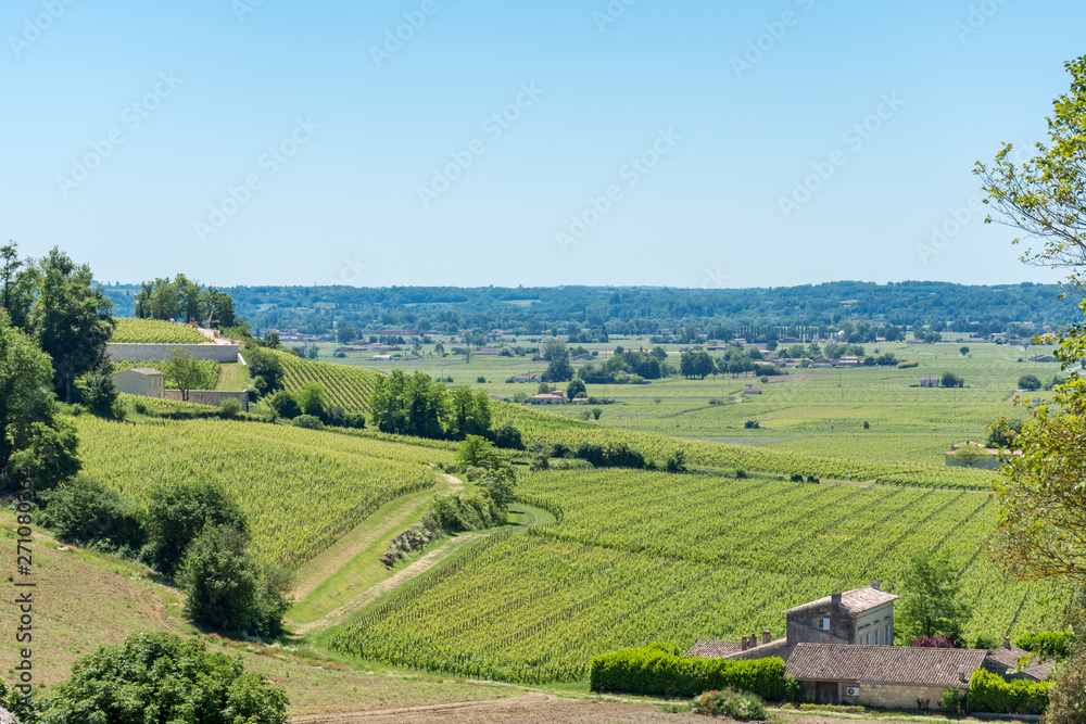 SAINT-EMILION (Gironde, France), vignobles du village