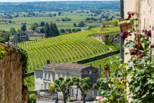 Tableau sur toile SAINT-EMILION (Gironde, France), vignobles du village
