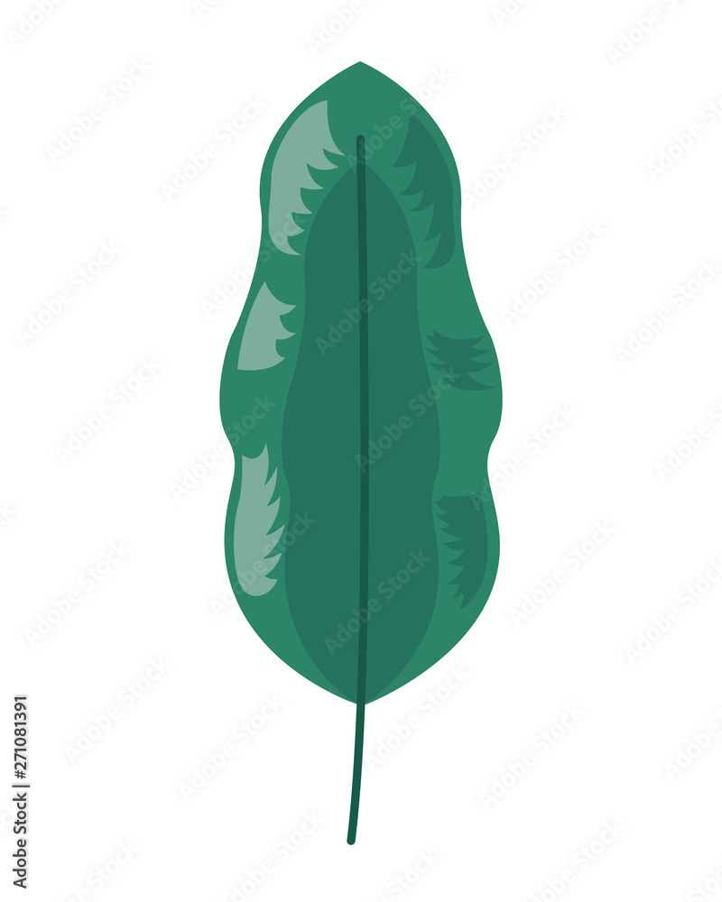 leaf foliage natural botanical leaf foliage natural botanical