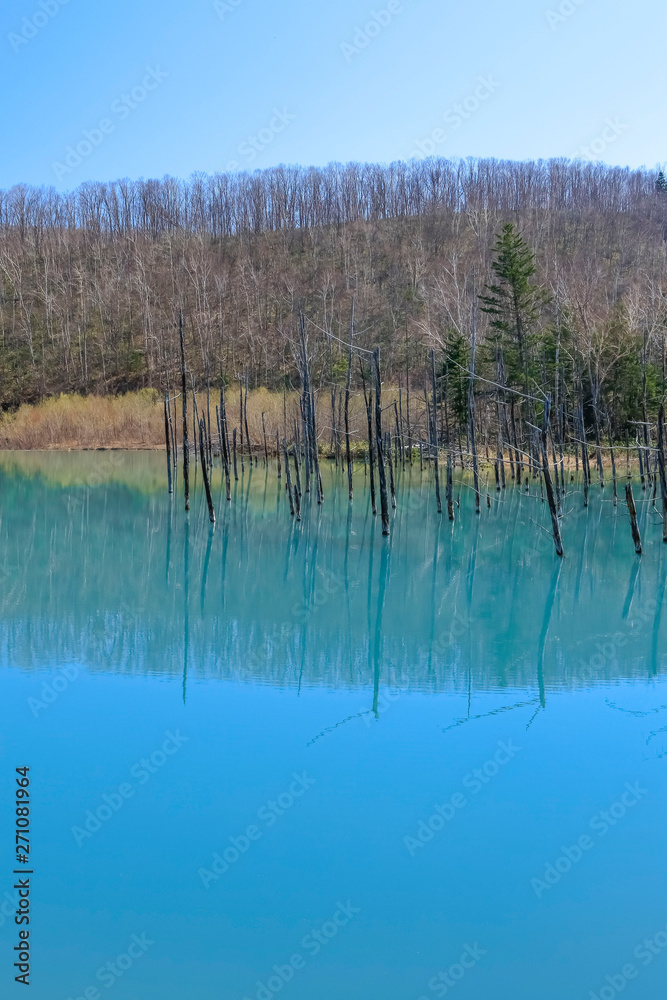 北海道青い池