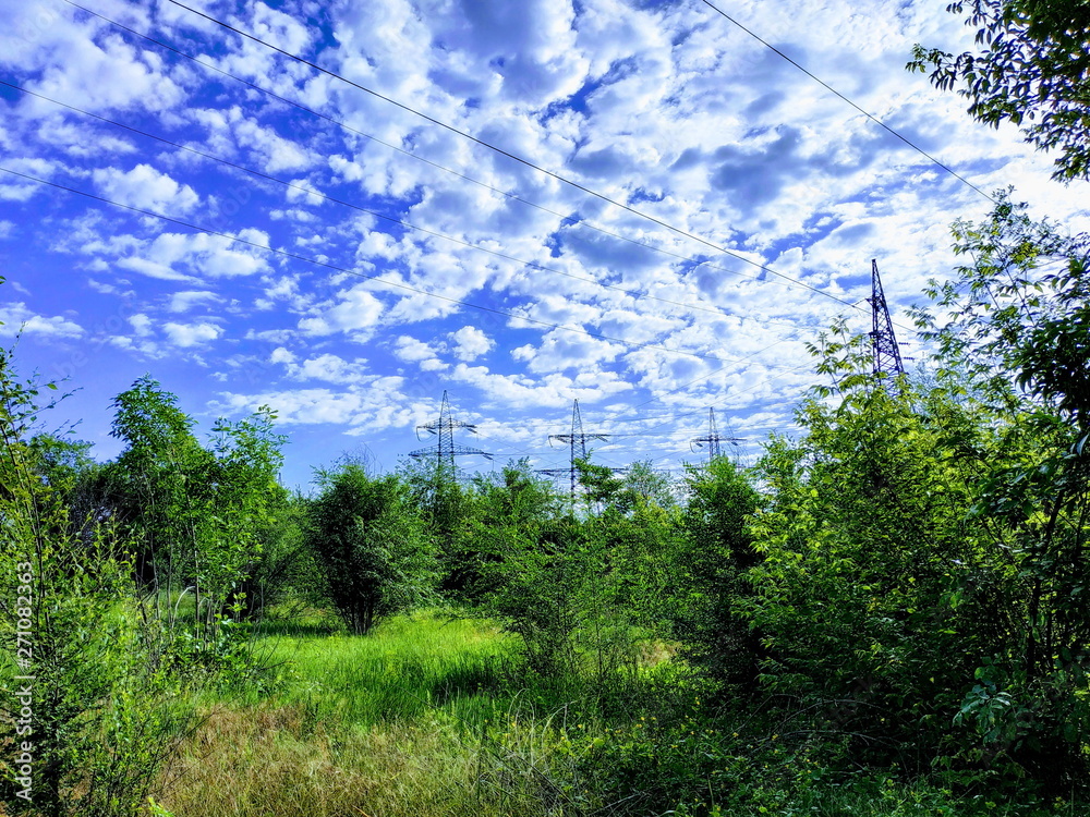 Green trees in the meadow against the blue sky with clouds