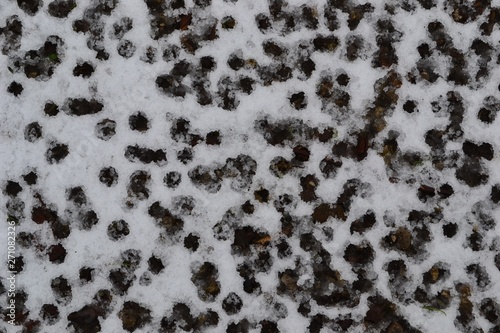 Closeup photograph of pinholes in a thin layer of snow. The pinholes were created by rain.