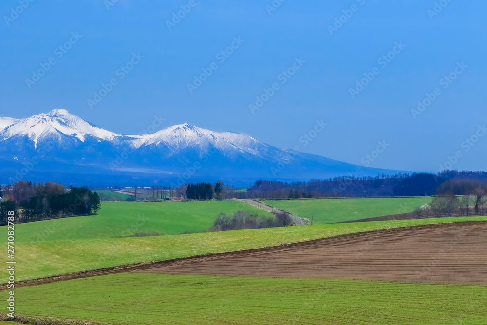 北海道美瑛　青空と草原　背景イメージ
