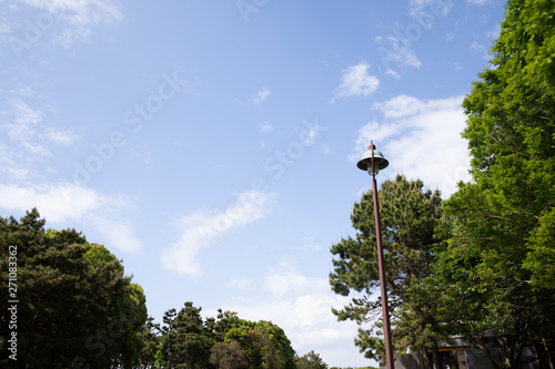 公園と空