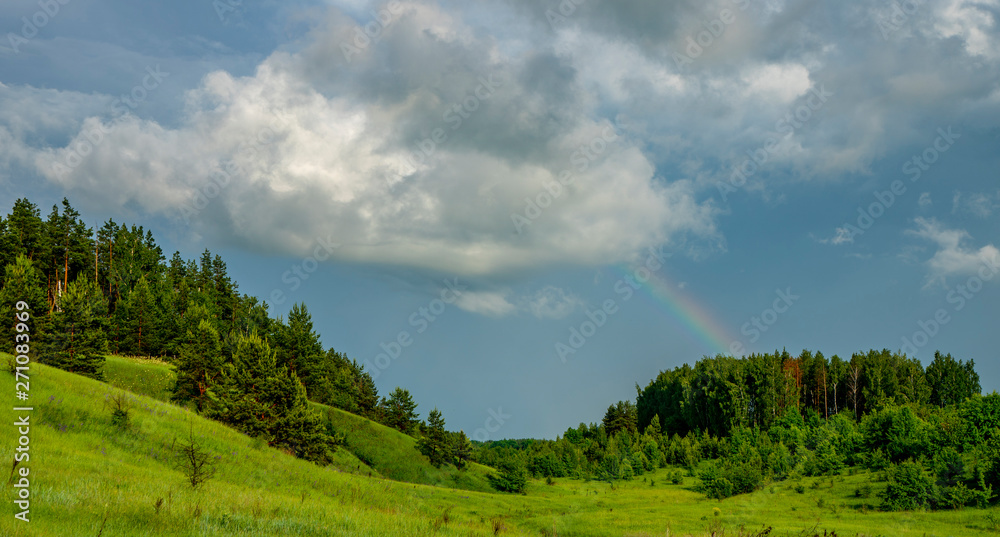 Fototapeta premium Rainbow over the forest coming down from a big cloud
