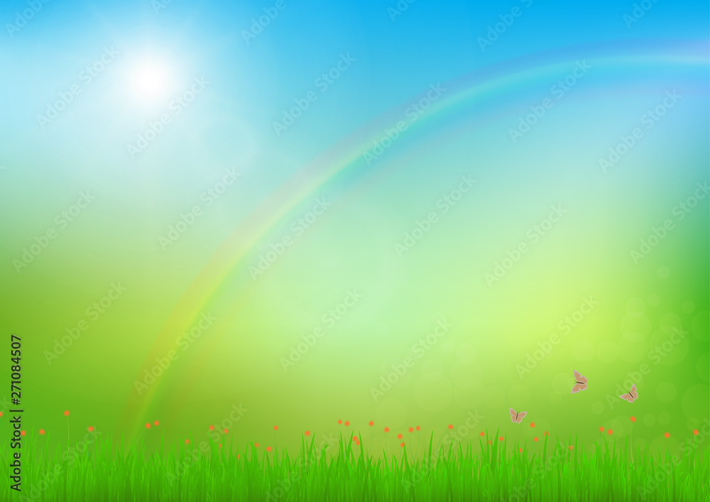 Fototapeta premium Meadow with rainbow and sunlight, fresh green nature background vector illustration