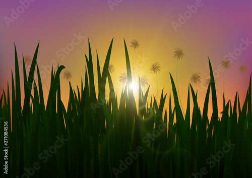 Meadow in the morning with sparkle of golden sunlight, nature background vector illustration