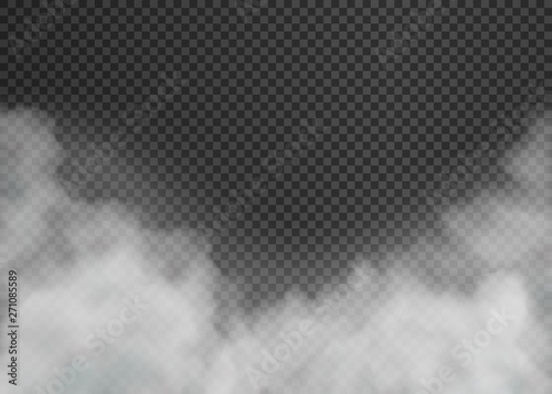 Fog or smoke isolated on transparent background. Vector illustration.