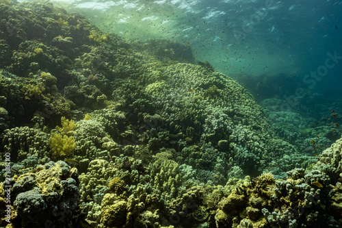 Fototapeta Naklejka Na Ścianę i Meble -  Panorama Korallenriff