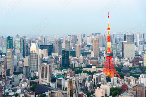 The most beautiful Viewpoint Tokyo tower in tokyo city ,japan.
