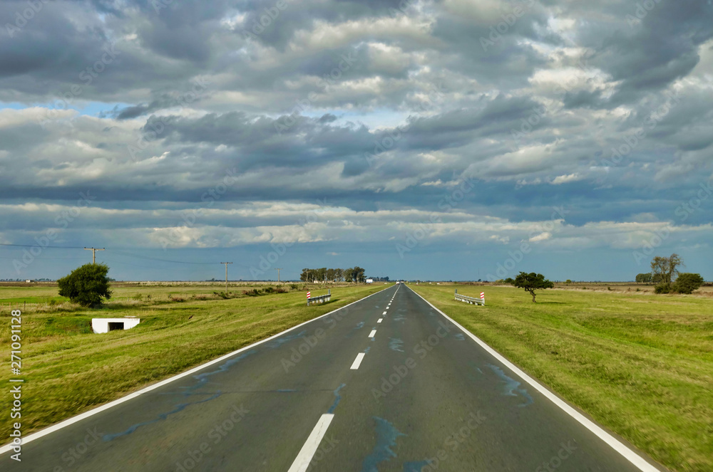 The pampas in Argentina