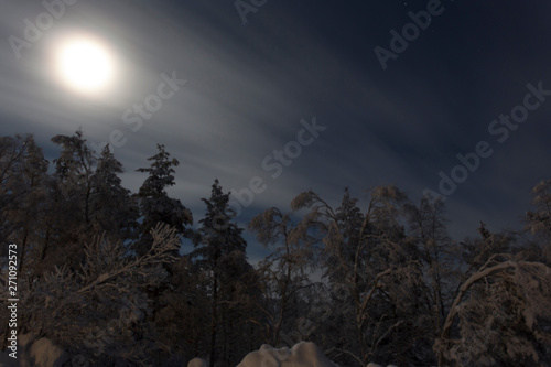 Frozen landscape during polar night in Saariselka photo