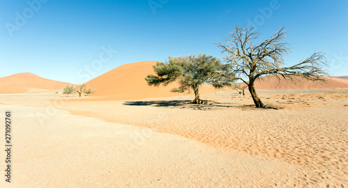 Beautiful red dune in the desert