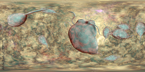 Trichomonas vaginalis protozoan, 360-degree spherical panorama view, 3D illustration. A parasite that causes trichomoniasis, sexually transmitted infection in men and women photo