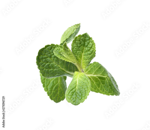 Twig of fresh mint isolated on white, top view
