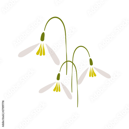 snowdrop flowers card vector floral design element primitive scandinavian