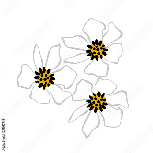camomile flowers card vector floral design element primitive scandinavian
