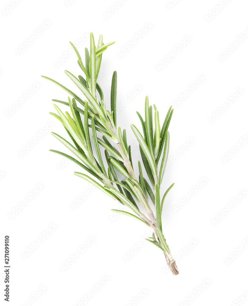 Fresh green rosemary twig on white background, top view