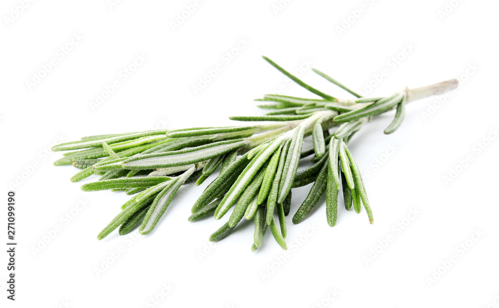 Fototapeta premium Fresh green rosemary twig on white background