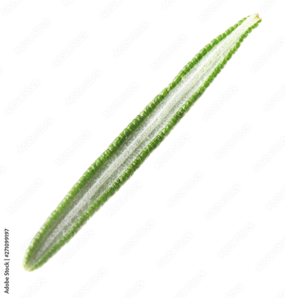 Fresh green rosemary leaf on white background Fresh green rosemary leaf on white background
