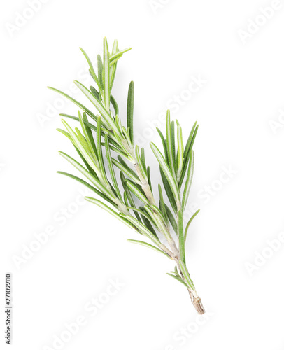Fresh green rosemary twig on white background  top view