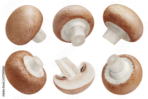 Collection of fresh champignon mushrooms, isolated on white background