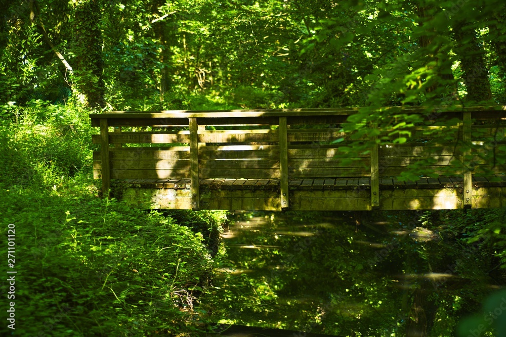 A wooden bridge near Bievre International Photo Fair A wooden bridge near Bievre International Photo Fair