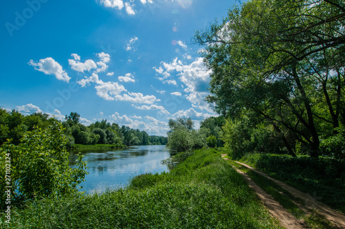 landscape with river and trees