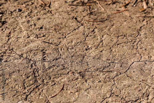 Cracked ground surface as background, closeup. Thirsty soil