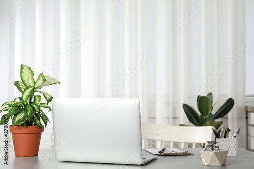 Office interior with houseplants and laptop on table