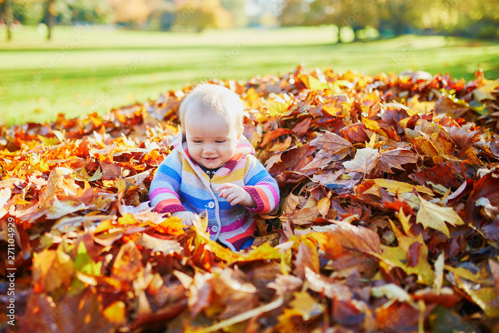 girl sitting in large heap of colorful autumn leaves on a fall day in park girl sitting in large heap of colorful autumn leaves on a fall day in park