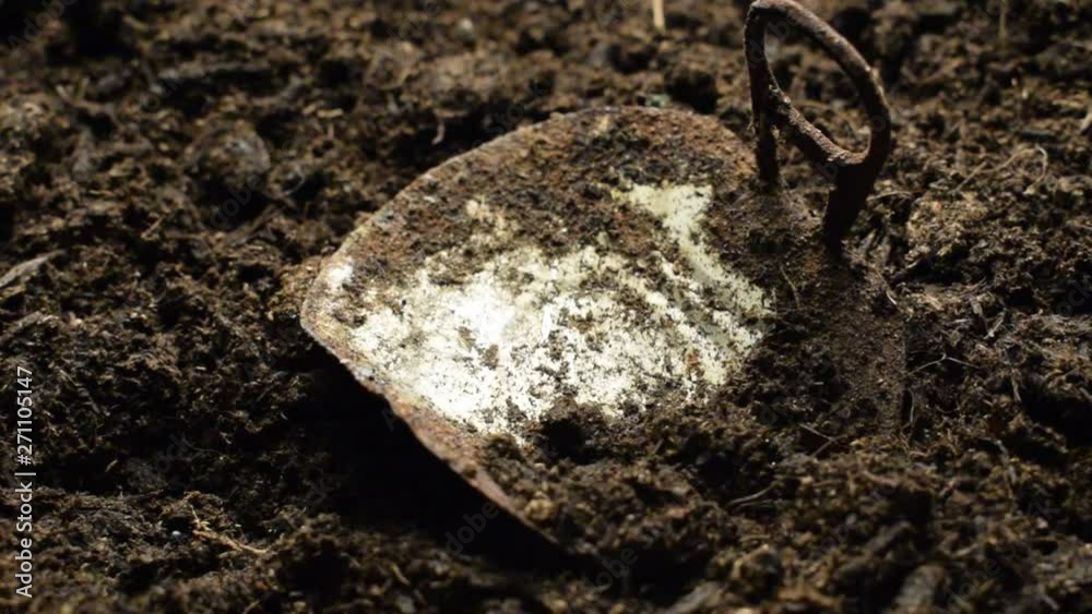 custom made wallpaper toronto digitalft9104_0039